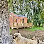 Jolie Tiny House Sous Les Grands Arbres * Cholet