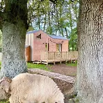 Jolie Tiny House Sous Les Grands Arbres Holiday home *