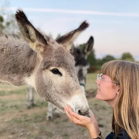 Jolie Tiny House Sous Les Grands Arbres Casa de Férias *