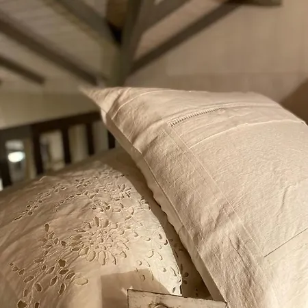 Jolie Tiny House Sous Les Grands Arbres