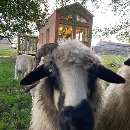 Jolie Tiny House Sous Les Grands Arbres Cholet