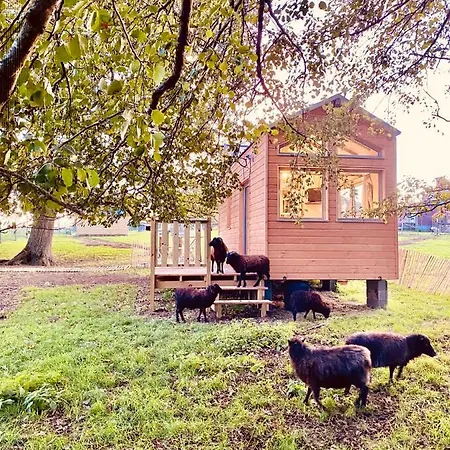 Jolie Tiny House Sous Les Grands Arbres *