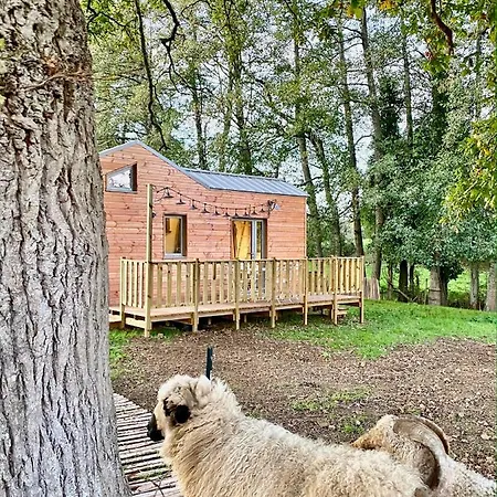 Jolie Tiny House Sous Les Grands Arbres * שולה