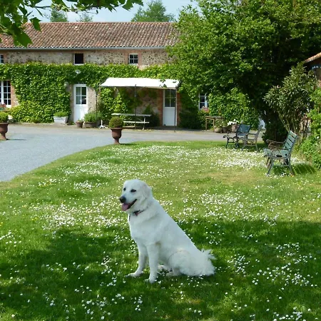 Jolie Tiny House Sous Les Grands Arbres *