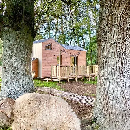 Jolie Tiny House Sous Les Grands Arbres Hébergement de vacances *