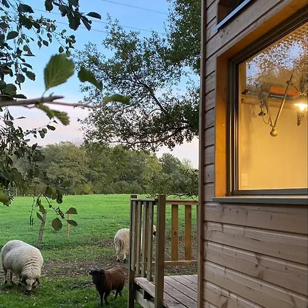 Jolie Tiny House Sous Les Grands Arbres * Cholet