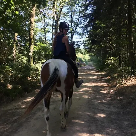 Jolie Tiny House Sous Les Grands Arbres * Cholet