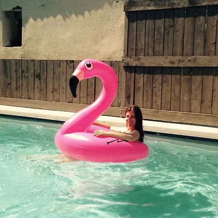 Holiday home Jolie Tiny House Sous Les Grands Arbres Cholet