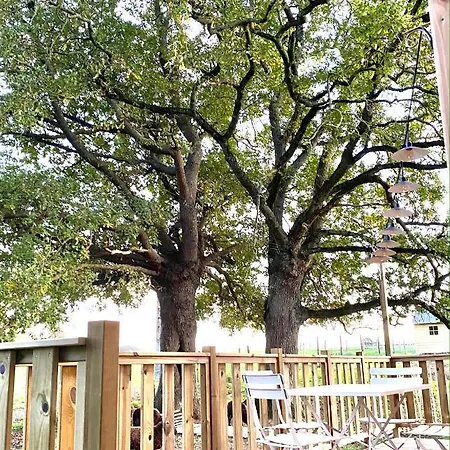 Jolie Tiny House Sous Les Grands Arbres *