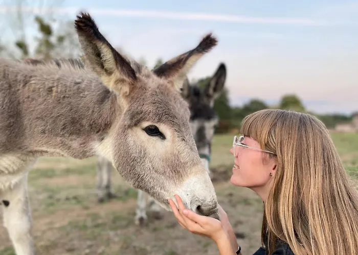 Jolie Tiny House Sous Les Grands Arbres Σπίτι διακοπών *