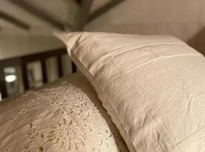 Jolie Tiny House Sous Les Grands Arbres