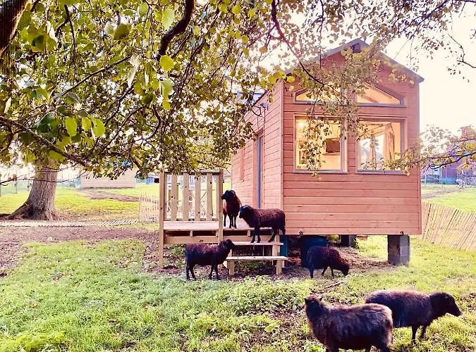 Jolie Tiny House Sous Les Grands Arbres *