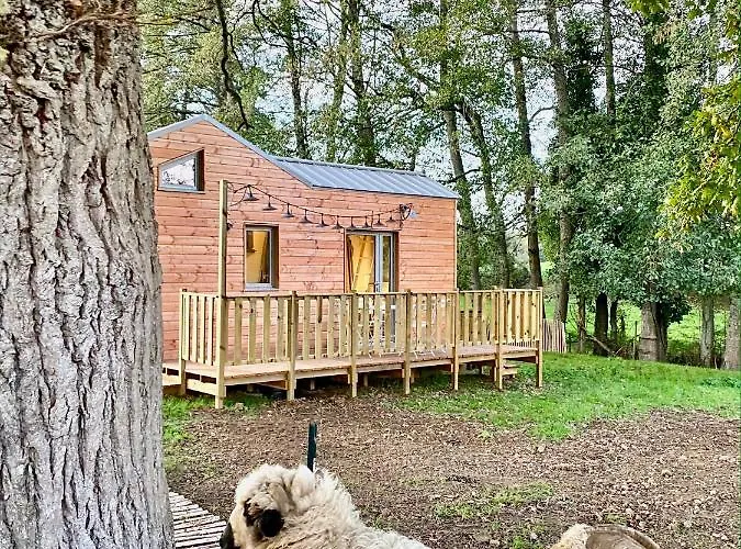 Jolie Tiny House Sous Les Grands Arbres * Σολέ