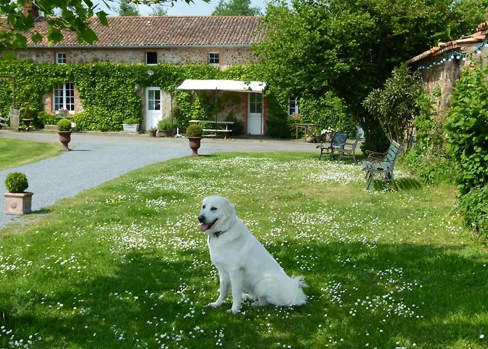 Jolie Tiny House Sous Les Grands Arbres *