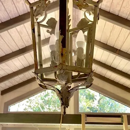 Jolie Tiny House Sous Les Grands Arbres *