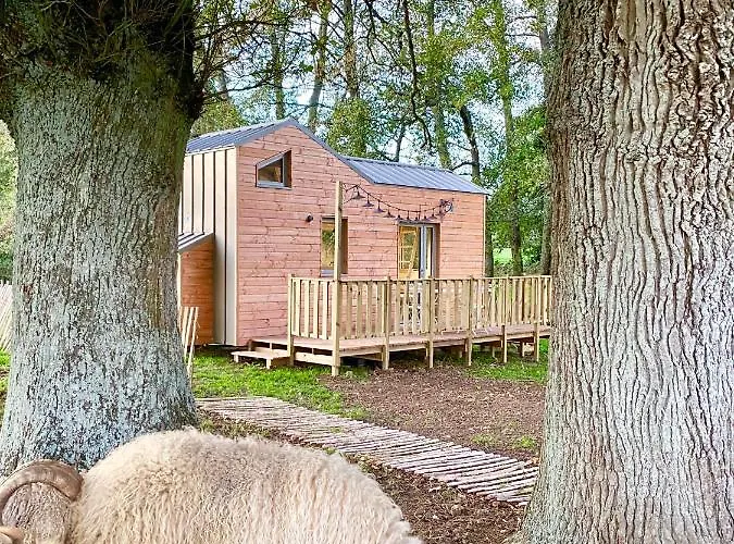 Jolie Tiny House Sous Les Grands Arbres Σπίτι διακοπών *