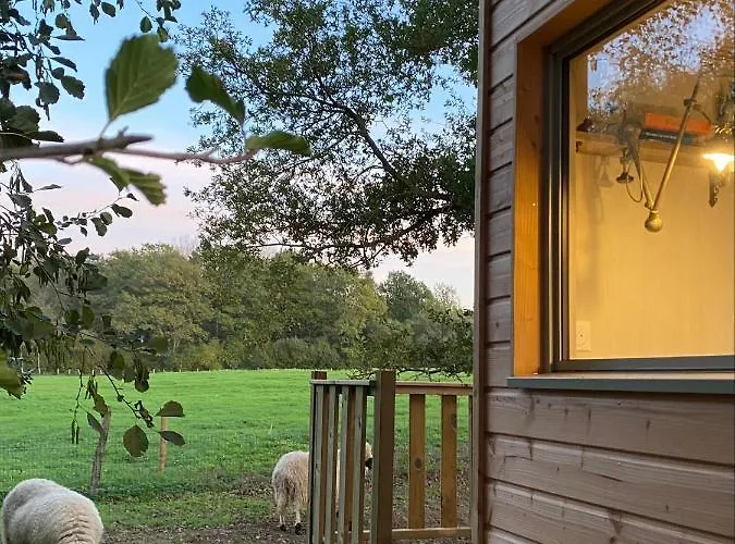 Jolie Tiny House Sous Les Grands Arbres * Cholet