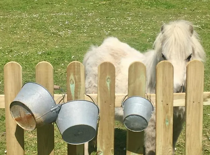 Σπίτι διακοπών Jolie Tiny House Sous Les Grands Arbres