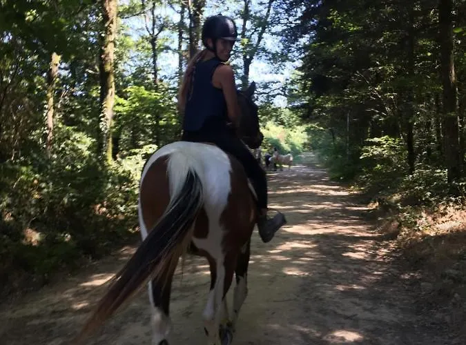 Jolie Tiny House Sous Les Grands Arbres * Σολέ