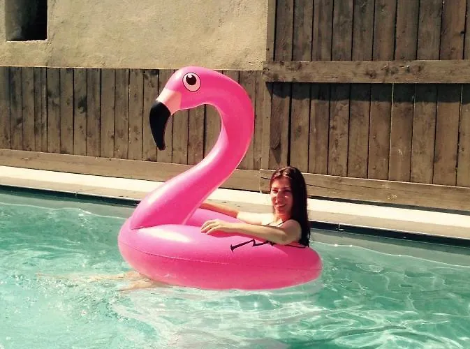 Σπίτι διακοπών Jolie Tiny House Sous Les Grands Arbres Σολέ