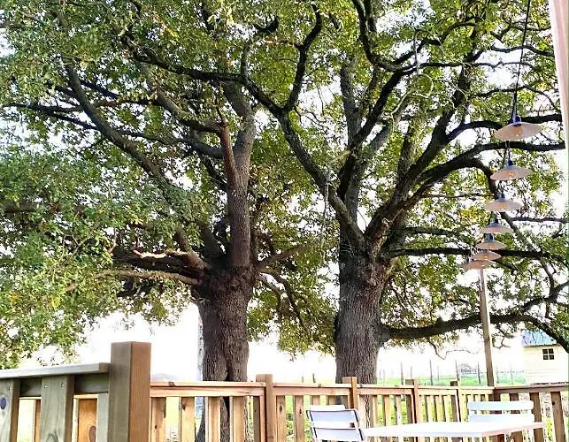 Jolie Tiny House Sous Les Grands Arbres *